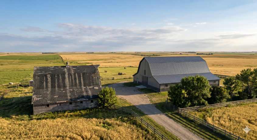 steel vs asphalt roofing